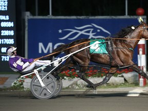 Always B Miki became the fastest horse in Canadian harness racing history with a 1:47.1 winning mile in the Mohawk Gold Cup on June 18, 2016. (NEW IMAGE MEDIA/Photo)
