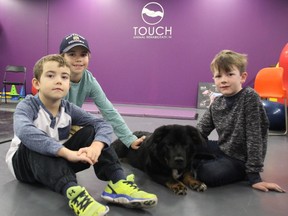 Cohen Lefebvre, his big brother Noah and friend Cohen Jessen-Howard of Vincent Massey Public School are members of Mini RefrigeRaiders, a Lego Robotics team that is raising $2,000 to purchase a wheelchair for a doggie named Vader. They have setup a GoFundMe account to accept donations.