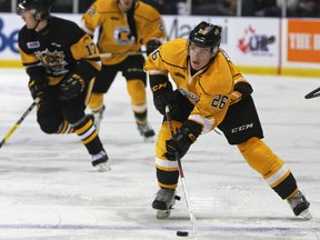 Kingston Frontenacs’ Ted Nichol eyes Hamilton Bulldogs goaltender Kaden Fulcher during the second period of Ontario Hockey League action at the Rogers K-Rock Centre on Sunday. The Frontenacs fell to the Hamilton Bulldogs 4-2. (Steph Crosier/The Whig-Standard)