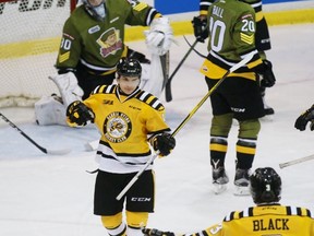 Sarnia Sting forward Troy Lajeunesse celebrates his fourth goal of the season  during the Ontario Hockey League game against the North Bay Battalion at Progressive Auto Sales Arena on Sunday, Oct. 30, 2016 in Sarnia, Ont. North Bay won 6-4. (Terry Bridge/Sarnia Observer)