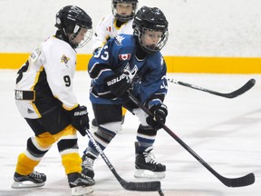 Bryce Dixon battles for the puck during exhibition hockey action for the Mitchell Novices against BCH. ANDY BADER MITCHELL ADVOCATE