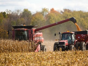 Corn harvesting is well underway in southwestern Ontario. Richard Armitage combines corn while Wayne Shipley drives the wagon as they take off a field of corn north of London on Monday, October 31, 2016. A co-op created to supply corn stalks and leaves, as well as wheat stalks, to a Comet Biorefining plant planned for Sarnia is currently recruiting members. (MIKE HENSEN, Postmedia Network)