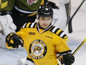Troy Lajeunesse is in his third Ontario Hockey League season with the Sarnia Sting. The 19-year-old centre made the club as an undrafted free agent in the fall of 2014. (Terry Bridge/Sarnia Observer)