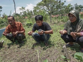 In this Thursday, Oct. 27, 2016, photo, family members of Indonesian migrant worker Sumarti Ningsih who was murdered in Hong Kong, from left to right; father Ahmad Kaliman, brother Suyit and mother Suratmi pray at her grave in Cilacap, Central Java, Indonesia. The Hong Kong trial of a British stock trader who murdered two Indonesian women and horrifically tortured one of them, recording the three-day ordeal on his phone, has barely registered in the victims' home country, let alone elicited shock or sympathy. (AP Photo/Agus Fitra)