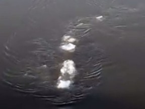 An 'ice monster' appears to be swimming in the waters of the Chena River in Alaska. (Screen Capture)