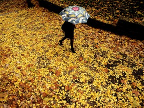 A woman with an umbrella walks through a park during an autumn day in the Bulgarian capital Sofia. DIMITAR DILKOFF/Getty Images)