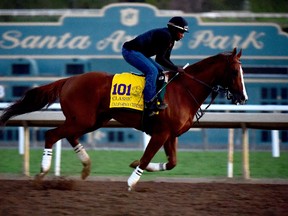 California Chrome, from Orange County, Calif., will likely be the star of this year’s running of the Breeders’ Cup. (Getty Images)
