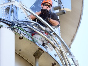 In this Wednesday, Nov. 2, 2016 photo, Brady Thomas, with the Greeley Fire Department, holds on tight to the cat after successfully rescuing from atop of a converted water tower in LaSalle, Colo. The cat has been stranded since Sunday on the top of the tower. The cat was safely rescued Wednesday morning and sent to a nearby veterinarian office to have its well being checked.(Joshua Polson/The Greeley Tribune via AP)