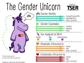 The Gender Unicorn graphic