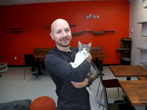 Scott Fardella with Gin the cat at his new business the Southpaw Cat Cafe in Kingston. (Ian MacAlpine /The Whig-Standard)