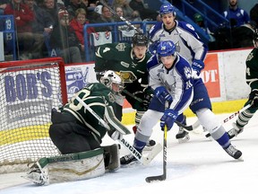 Shane Bulitka, right, of the Sudbury Wolves, puts the puck past goalie Emanuel Vella, of the London Knights, during OHL action at the Sudbury Community Arena in Sudbury, Ont. on Friday November 4, 2016. John Lappa/Sudbury Star/Postmedia Network