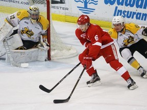 Colton White of the Sault Ste. Marie Greyhounds circles the net while being pursued by Sarnia Sting defenceman Alex Black and watched by goalie Justin Fazio during the Ontario Hockey League game at Progressive Auto Sales Arena on Friday, Nov. 4, 2016 in Sarnia, Ont. The clubs faced off for the second time this season. (Terry Bridge/Sarnia Observer)