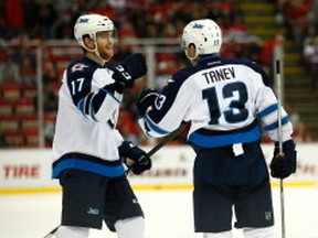 DETROIT, MI - NOVEMBER 04: Brandon Tanev #13 of the Winnipeg Jets celebrates his third period gaol with Adam Lowry #17 while playing the Detroit Red Wings at Joe Louis Arena on November 4, 2016 in Detroit, Michigan. (Photo by Gregory Shamus/Getty Images)