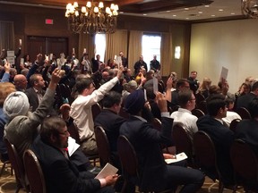 Delegates voting in a policy resolution panel at the PC convention in Red Deer.