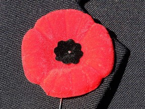 Poppy (Postmedia Network file photo)