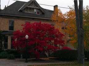 A home in Woodfield. (supplied photo)