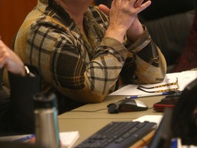 Coun. Janice Lukes says city hall's "strong mayor" model needs to be reviewed. (CHRIS PROCAYLO/WINNIPEG SUN FILE PHOTO)