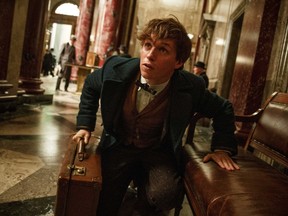 Eddie Redmayne in "Fantastic Beasts and Where to Find Them."