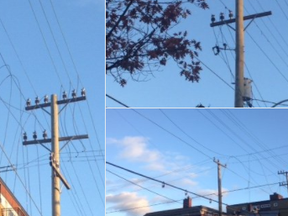 Downed power lines at Cartier and Gilmour  (Hydro Ottawa Twitter feed)