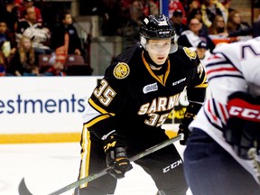 After visiting the Hamilton Bulldogs Friday night, Nikita Korostelev and the Sarnia Sting return home to host the Kingston Frontenacs Saturday night. Game time is 7:05 p.m. at Progressive Auto Sales Arena. (Postmedia file photo)