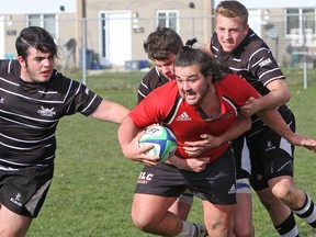 St. Lawrence College scrum-half Tyler Shemko plows the Conestoga Condors line during the Ontario Colleges Athletic Association men's rugby bronze-medal game at St. Lawrence College in Kingston, Ont. on Saturday November 12, 2016. The Vikings defeated the Condors 70-5 to win the bronze. Steph Crosier/Kingston Whig-Standard/Postmedia Network