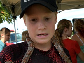 Marek Vanacker 'meets' a snake at the Langton Fair. (CHRIS ABBOTT/TILLSONBURG NEWS)