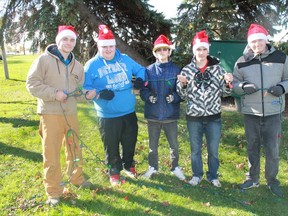 A group of Alexander Mackenzie Secondary Students prepare to hang lights on a tree in Centennial Park in preparation for Sarnia's annual Celebration of Lights festival.
CARL HNATYSHYN/SARNIA THIS WEEK