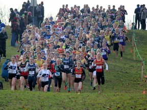 Laurentian runners are in the mix at the start of the CIS cross-country running championships on the Plains of Abraham on the weekend.