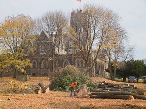 St. Peter?s Seminary has felled about 20 stately trees on its property, with city approval, but the action has raised concern from one Old North resident. (DEREK RUTTAN, The London Free Press)