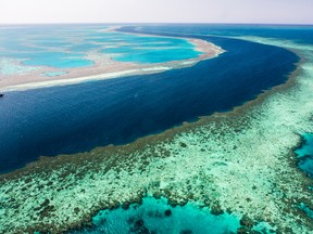 Great Barrier Reef. (Getty Images)