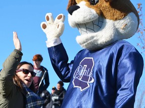 A Quinte Saints supporter high-fives the team mascot during last week's COSSA AA junior football final at Paul Paddon Field. (QSS photo)