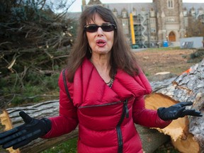 Diana Thompson-Hayman is upset by the felling of century-old trees on the grounds of St. Peter?s Seminary in north London. ?They are logs now and they were huge and gorgeous. This is an outrage.? (MIKE HENSEN, The London Free Press)