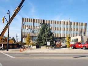 This year's city hall Christmas tree is set in place outside Sarnia City Hall. The large blue spruce was donated by Jennifer and Todd Latta in Bright's Grove. The photo was provided by city hall.
Handout/Sarnia Observer/Postmedia Network