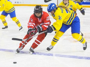 Sheridan Oswald of Canada and Moa Wernblom of Sweden battle for the puck in an exhibition game before the beginning of the Ice Hockey Under 18 Women's World Championship earlier this year. Oswald and her sister Courtlyn are key players on the Manitoba Bisons this season. (Julie Jocsak/Postmedia Network file photo)
