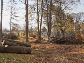 Dozens of trees were removed from St. Peter?s Seminary last week to make room for sewer pipes and a parking lot. The cull violated new city guidelines. (Free Press file photo)