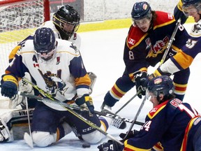 Dukes vs. Whitby, Sunday afternoon at Essroc Arena. (Bruce Bell/The Intelligencer)