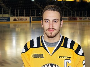 Kingston minor hockey grad Kevin Spinozzi wears his Sarnia Sting jersey with the captain's C for the first time on Nov. 17. The 20-year-old defenceman was named the Sting's captain a day earlier. (Terry Bridge/Postmedia Network)