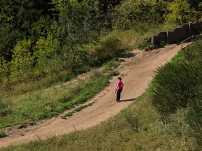 A lone walker takes advantage of the warm weather as she walks through the river valley on Wednesday, August 31, 2016 in Edmonton. Greg  Southam / Postmedia