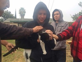 Andrew Perez reunites with his cat, Fat Boy, after a Pacific Gas and Electric Co. crew rescued the feline from atop a 45-foot power pole, Tuesday, Nov. 22, 2016, in Fresno, Calif. The cat had sat atop it for nine days. (Mackenzie Mays/The Fresno Bee via AP)