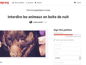 Photos of a bear muzzled and in chains at a French nightclub have sparked a Change.org petition calling for a ban on animals at clubs. (Change.org screengrab)