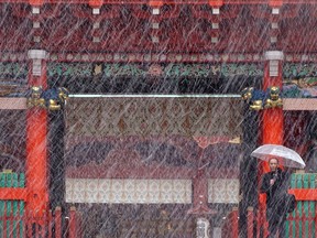 A man stands near the gate in the snow at Kanda Myojin shrine in Tokyo, Thursday, Nov. 24, 2016. Tokyo residents have woken up to the first November snowfall in more than 50 years. An unusually cold air mass brought wet snow to Japan's capital on Thursday. Above-freezing temperatures kept the snow from sticking, but forecasters said there could be an accumulation of up to 2 centimeters (1 inch). The last time it snowed in central Tokyo in November was in 1962. (AP Photo/Eugene Hoshiko)