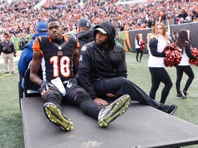 Bengals receiver A.J. Green is carted off the field after suffering a hamstring injury last week. (AP)