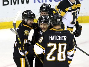 Sarnia Sting's Troy Lajeunesse, middle, is congratulated by teammates including Kelton Hatcher after scoring the club's second goal of the game against the Kingston Frontenacs during Ontario Hockey League action at the Rogers K-Rock Centre on Friday night. (Ian MacAlpine/The Whig-Standard)