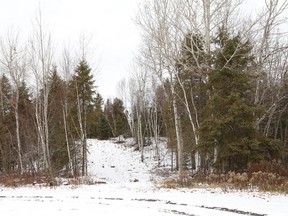 A housing development has been proposed for a property near Parkview Drive in Azilda. (John Lappa/Sudbury Star)