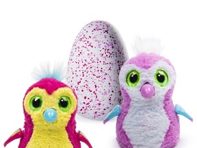 Hatchimals are shown in this undated handout photo. The overwhelming popularity of this season's hottest toy, Hatchimals, has taken many by surprise -- including its Toronto-based toymaker, Spin Master. The furry, robotic bird-like toy animals that hatch from an egg when rubbed have been selling out at stores across North America, Europe and Japan since its launch on Oct. 7. (THE CANADIAN PRESS/HO - Spin Master)