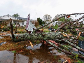 Fallen trees line the streets after a suspected tornado ripped through the town of Rosalie, Ala., Wednesday, Nov. 30, 2016.  (AP Photo/Butch Dill)