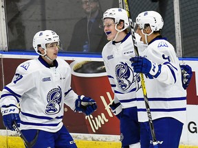 Brendan Harrogate #61 of the Mississauga Steelheads celebrates his 2nd goal of the night with team mates Jason Smith #37 and Michael McLeod #9 during game action on November 25, 2016 at Hershey Centre in Mississauga, Ontario, Canada. (Getty Images)