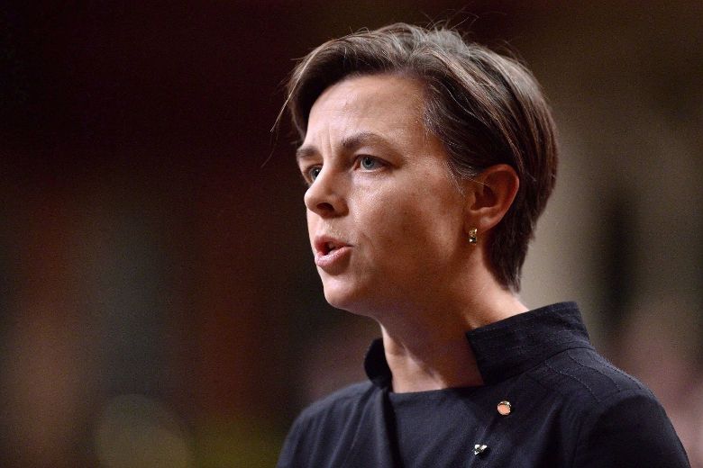 Tory leadership hopeful Leitch wants pepper spray legal for self