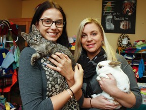 Kingston Humane Society’s volunteer co-ordinator, Holly Udall, left, and Christie Haaima, the population manager, are seen on Thursday, Dec. 1, holding just two of the many adoptable pets looking for a forever home as the local shelter kicks off its Homes for the Holidays annual event with a number of fundraisers and adoption deals this holiday season. (Julia McKay/The Whig-Standard)