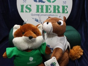 Submitted photo
Those who adopt two or more acres of land through Quinte Conservation’s Adopt An Acre program will receive a plush toy chipmunk or fox as a thank you for the donation.